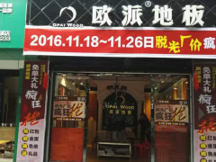 四川蒼溪歐派地板專賣店11.18特惠活動